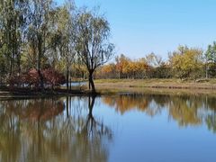 -东郊湿地公园