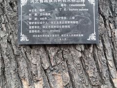 -保定直隶总督署博物馆