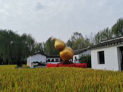 -溱湖国家湿地公园