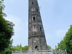 -上海佘山国家森林公园天马山园