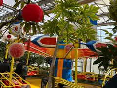 -南宫五洲植物乐园