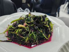 -沪依小酒馆心意菜