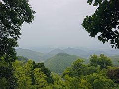-莫干山风景区