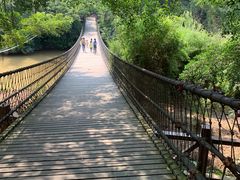 -南宁良凤江国家森林公园