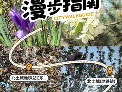 -元大都城垣遗址公园