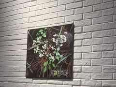 -菌乡缘·野生菌蒸汽鱼火锅(江边夜市店)