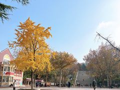 -贮水山儿童公园