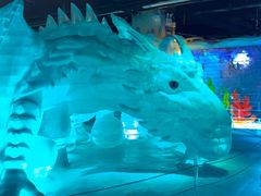 -海合安武汉极地海洋公园
