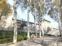 -武汉大学-樱园