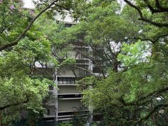 -香港大学