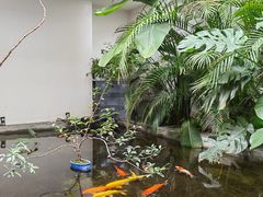 -漫笙舍Manse·咖啡·民宿