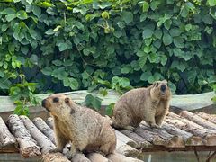 -泉州海丝野生动物世界
