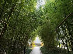 -水月周庄铂尔曼酒店-水月荟中餐厅