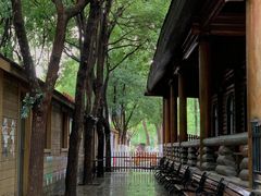 -合肥滨湖国家森林公园