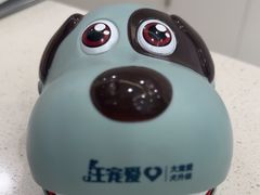 -申普宠物医院·眼科·心内科·影像科(普陀分院)