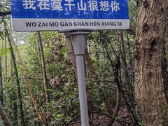 -莫干山风景区
