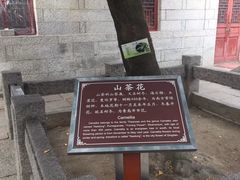 -青岛崂山太清宫