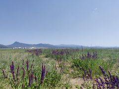 -敕勒川草原