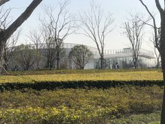 -上海山野camping·户外天幕烧烤·团建拓展营地