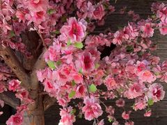 -富侨养生(康乾店)