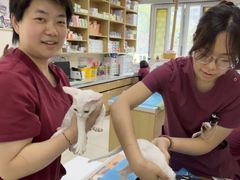 -美联众合动物医院·24h京西诊疗中心