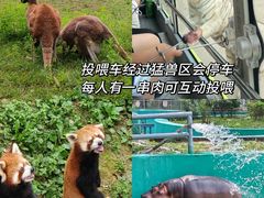 -西安秦岭野生动物园