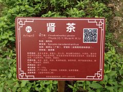 -广西壮族自治区药用植物园
