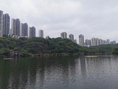 -重庆彩云湖湿地公园