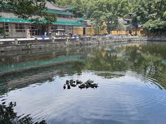 -阿育王寺