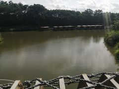-江门古劳水乡旅游区