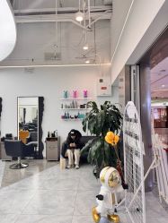 -ON STAR SALON