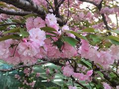 -上海游泳馆(地铁站)