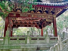 -汇龙潭