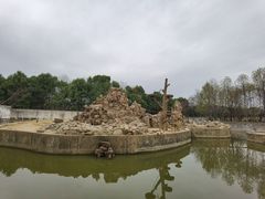 -合肥野生动物园