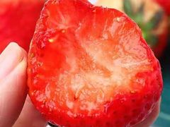 -百果园(东莞新世纪明上居2店)