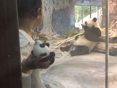-海南热带野生动植物园