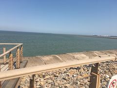 -东疆建设开发纪念公园