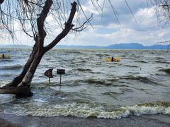 -捞渔河湿地公园