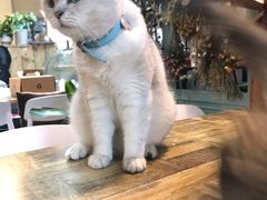 -小时光咖啡馆(北锣鼓巷店)
