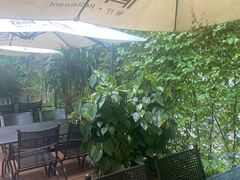 露天位-肴约·花园式餐厅(湖里店)