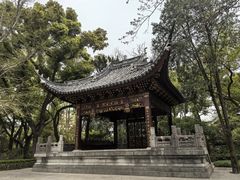 -汇龙潭
