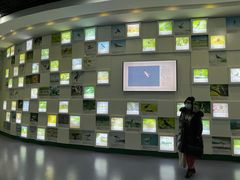 -盐城丹顶鹤湿地生态旅游区