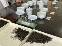 -诗宇时光茶艺书法古琴培训