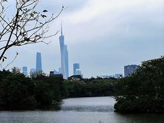 -海珠湖公园