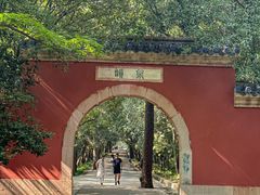 -灵谷景区