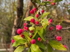 -元大都城垣遗址公园