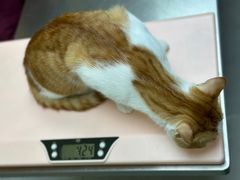 -爱诺耐芙动物医院(万博店)