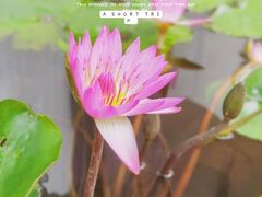 -英西峰林·洞天仙境