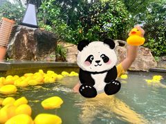 -溧阳天目湖天沐温泉