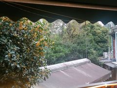 -随意茶庄·地道杭帮农家菜(梅家坞店)